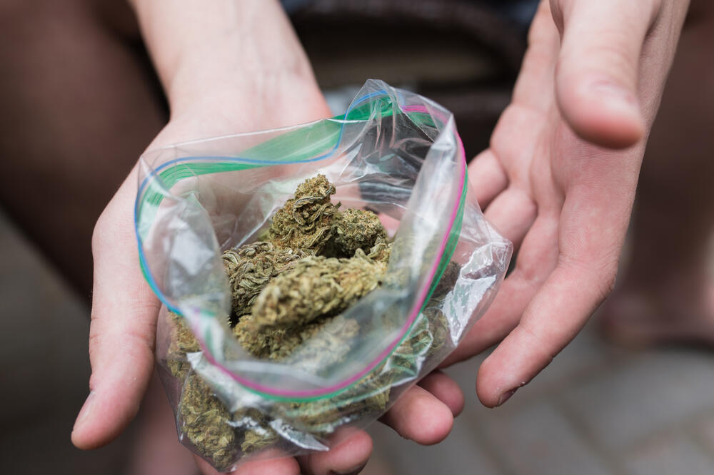 Cetinje: Pronađena marihuana, podnijeta jedna krivična i dvije prekršajne prijave