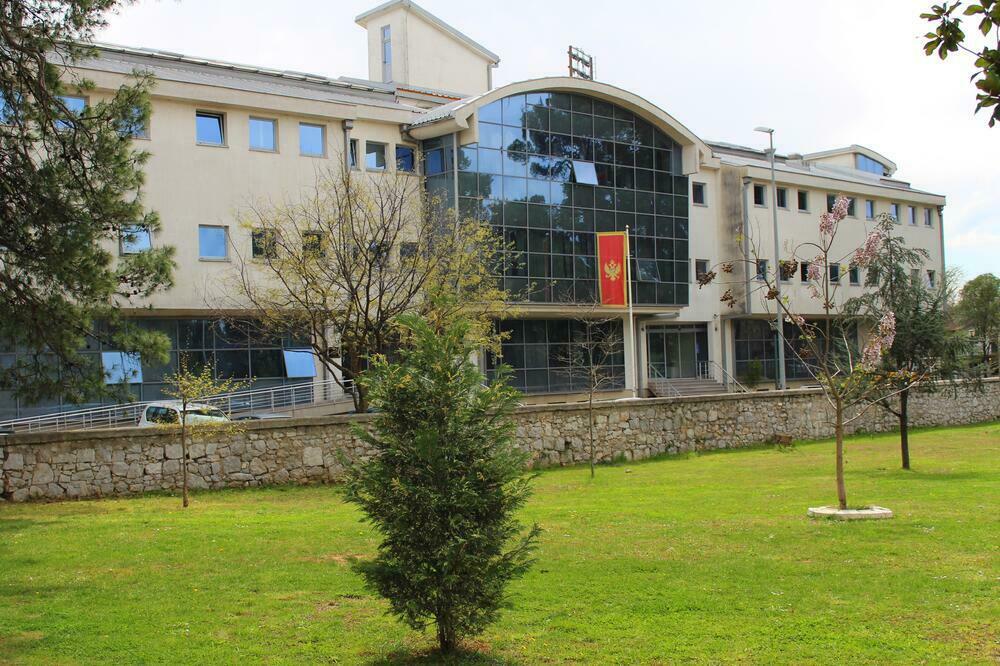 MPNI: Tenderi za adaptaciju kotlarnice u vrtiću u Cetinju i rekonstrukciju toaleta u JU Obrazovni centar Plužine