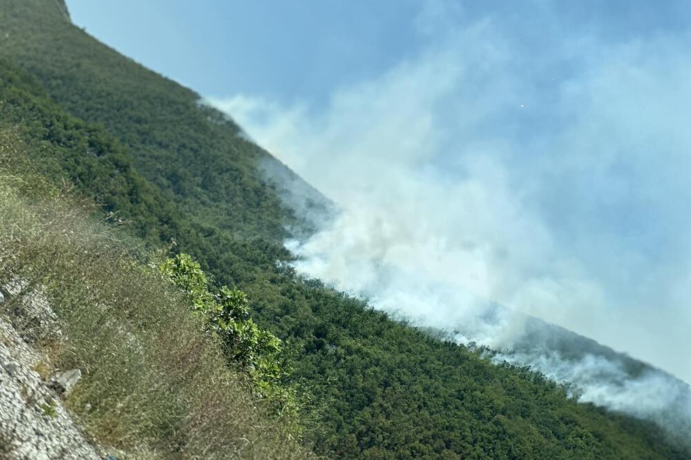 Požar između Budve i Cetinja - naselja nisu ugrožena, vatru gasio i avion