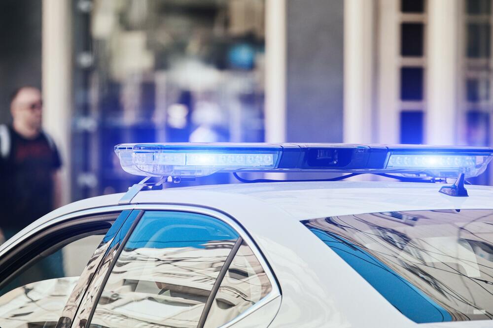 Beograd: Privedeni simpatizeri Milana Nedića, nosili palice i kaiševe, pokušali da se obračunaju s antifašistima