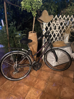 Bicikl vozen mesec dana