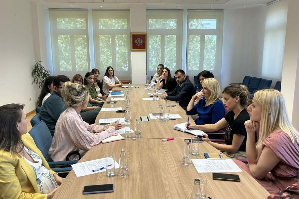 Borovinić Bojović inicirala izradu Akcionog plana za podršku žrtvama nasilja