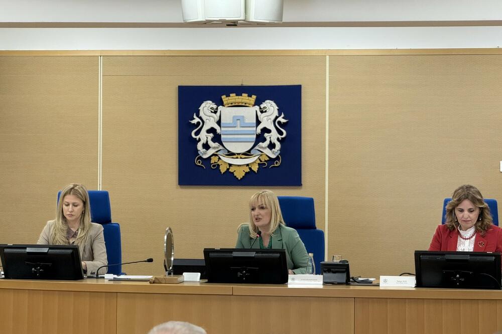 Borovinić Bojović: Kada inicijativa za moju smjenu dobije dovoljan broj potpisa odbornika zakazaću sjednicu