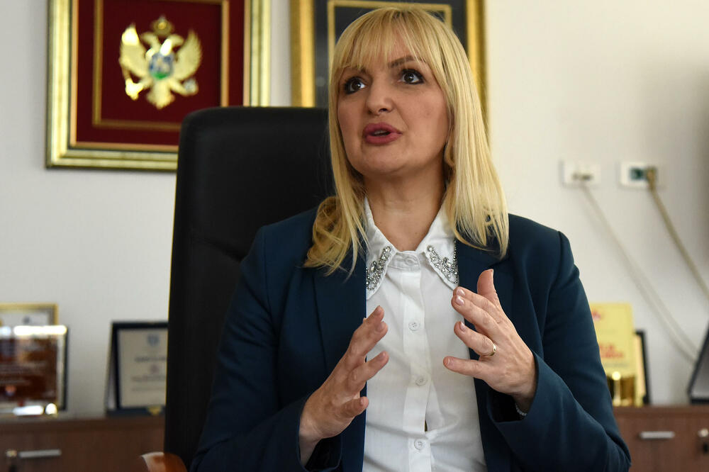 Borovinić Bojović: Prijetnje Demokratama upućene su svima nama koji se zalažemo za ozdravljenje sistema