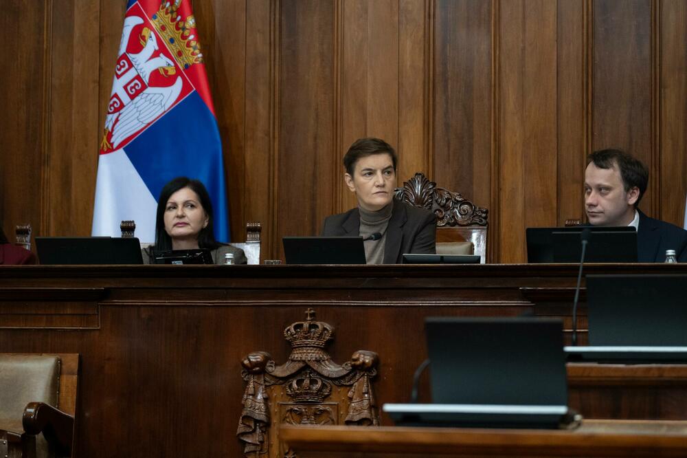 Brnabić: Crna Gora i Albanija nemaju opoziciju koja se u inostranstvu žali na svoju zemlju