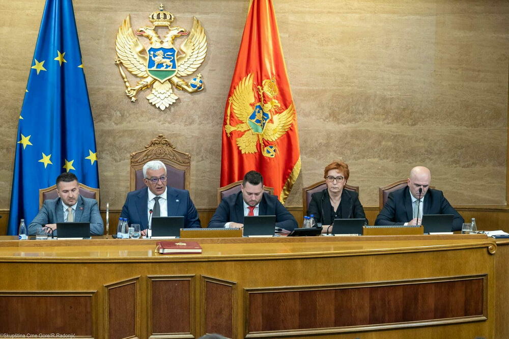 Camaj lider po prihodima, Mandić po nekretninama: Šta stoji u imovinskim kartonima rukovodstva Skupštine