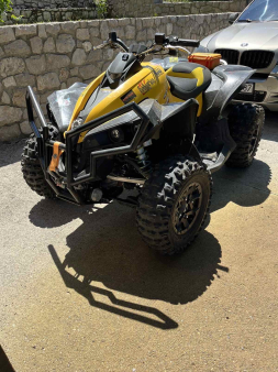 Can Am Renegate