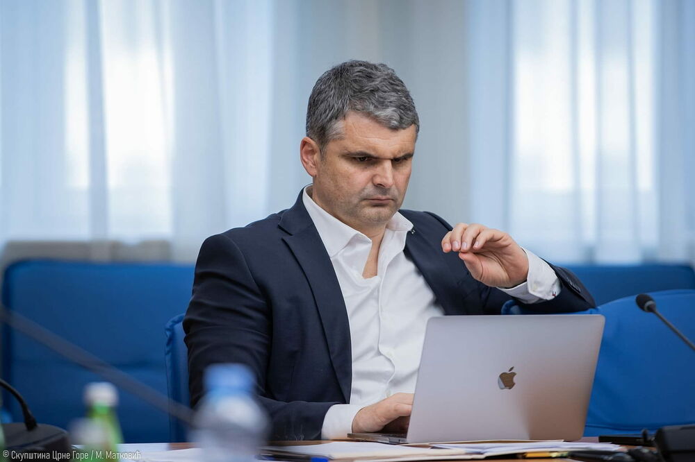 Čapuni: Ako samo jedna primorska opština može postati grad, problem je u zakonu
