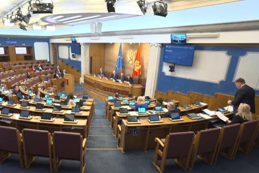 Čarapić: Četiri trgovačka lanca dominiraju, u farmaceutskim uslugama jedna ili dvije kompanije su apsolutni monopolisti