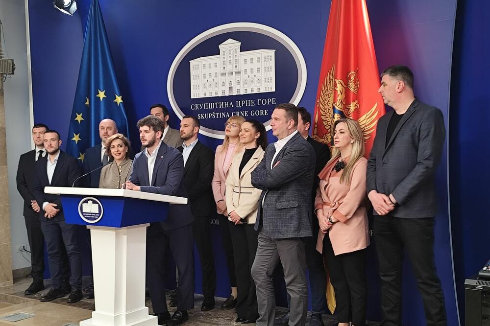 Čarapić: Odluka o odlaganju sjednice Skupštine donijeta bez nas