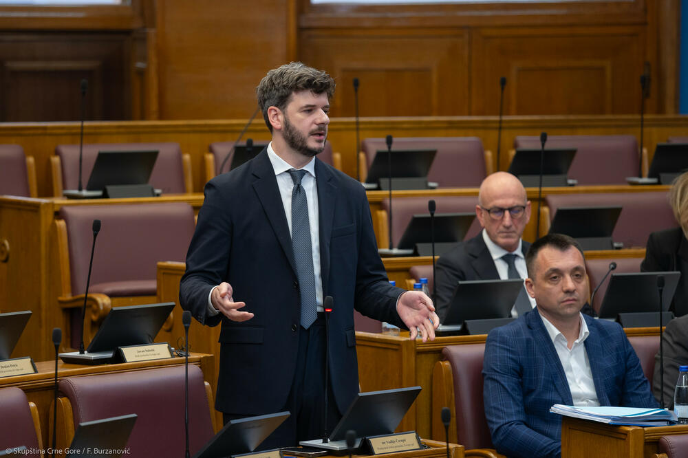 Čarapić: PES će predati u proceduru izmjene Zakona o biračkom spisku