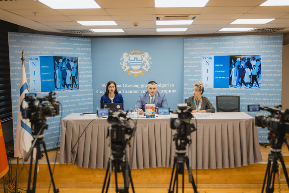 CEDEM: U posljednjim godinama bilježi se ast prihoda i zaposlenosti u svim etničkim grupama