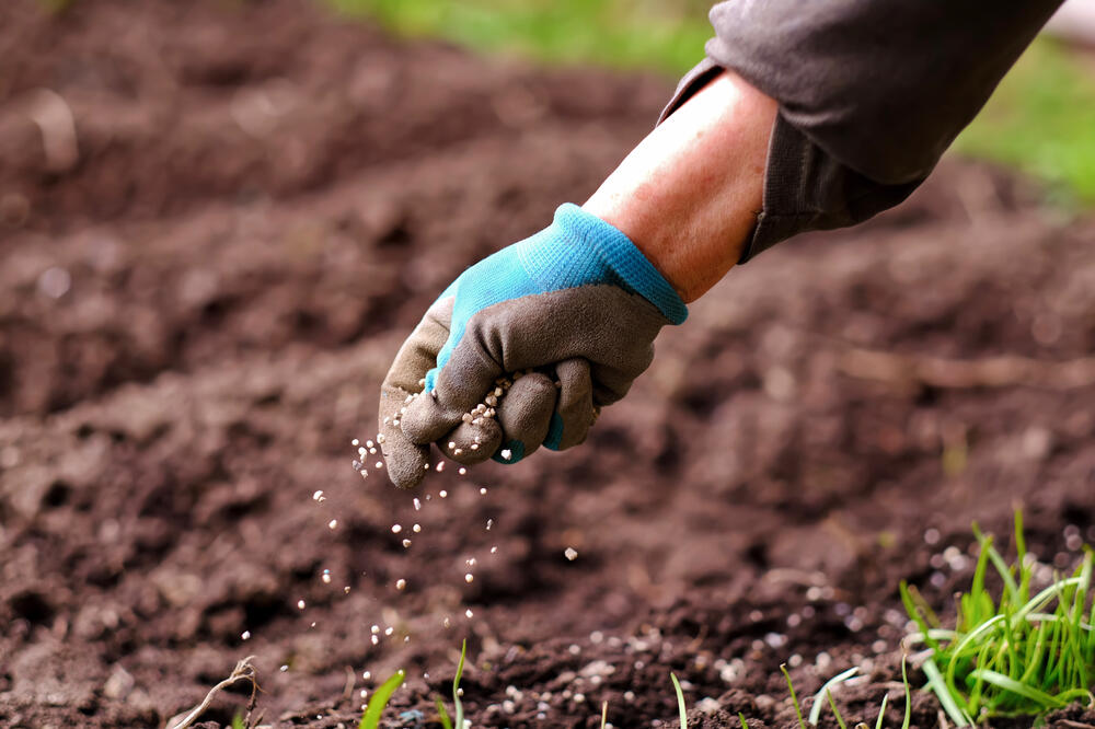 Čemu dati prednost - znanju ili novcu