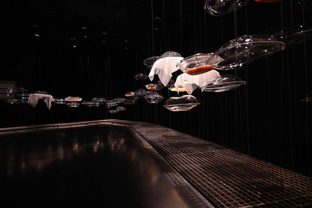 Crnogorska postavka sa Bijenala arhitekture u Veneciji stiže u Nikšić