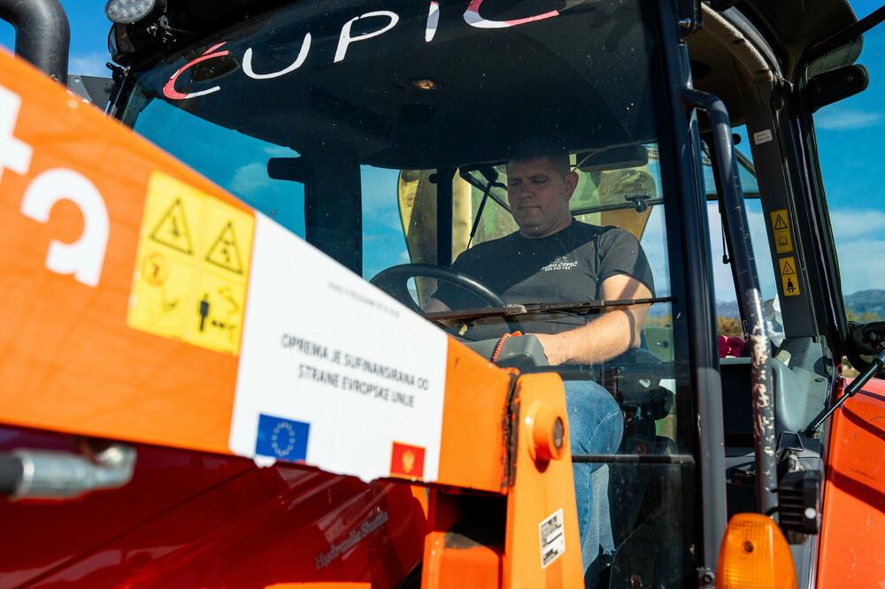 Ćupić: Bavljenje poljoprivredom se isplati, ali je neophodna podrška EU