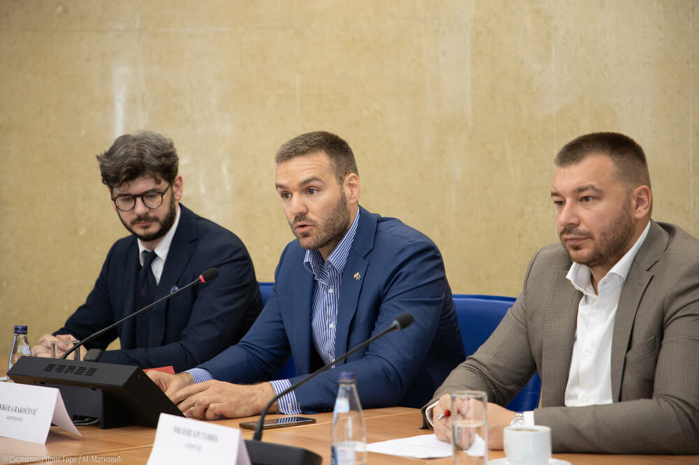 Delegacija EU o izmjenama propisa koje je predložio dio partija vlasti: Izbornu reformu sprovodite kroz Odbor