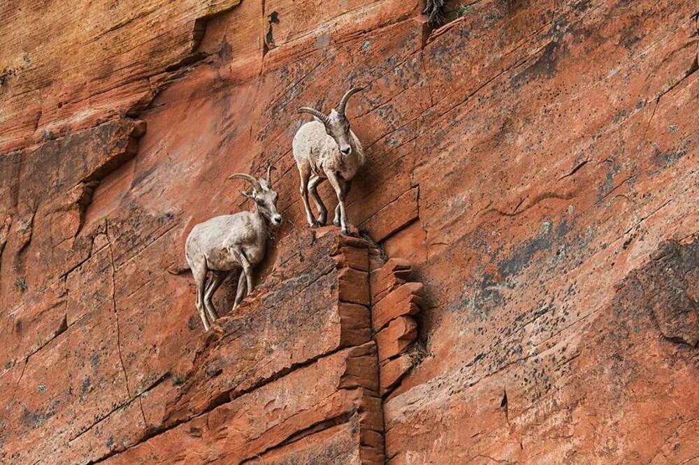 Devet savjeta kako da se nosite sa turbulentnim vremenima