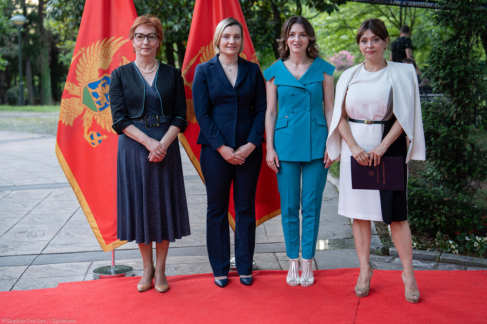 Donatorsko veče: Prikupiljeno vše od 167.000 eura za podršku djeci sa smetnjama u razvoju