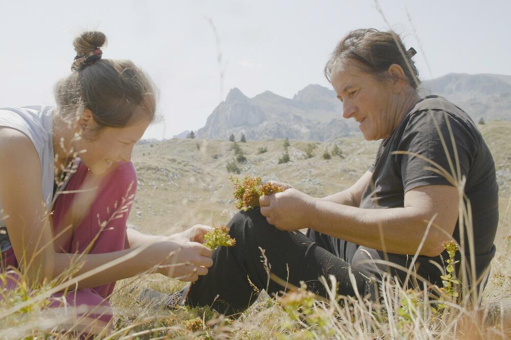 Film &bdquo;Planina&ldquo; premijerno pred evropskom publikom u Kopenhagenu