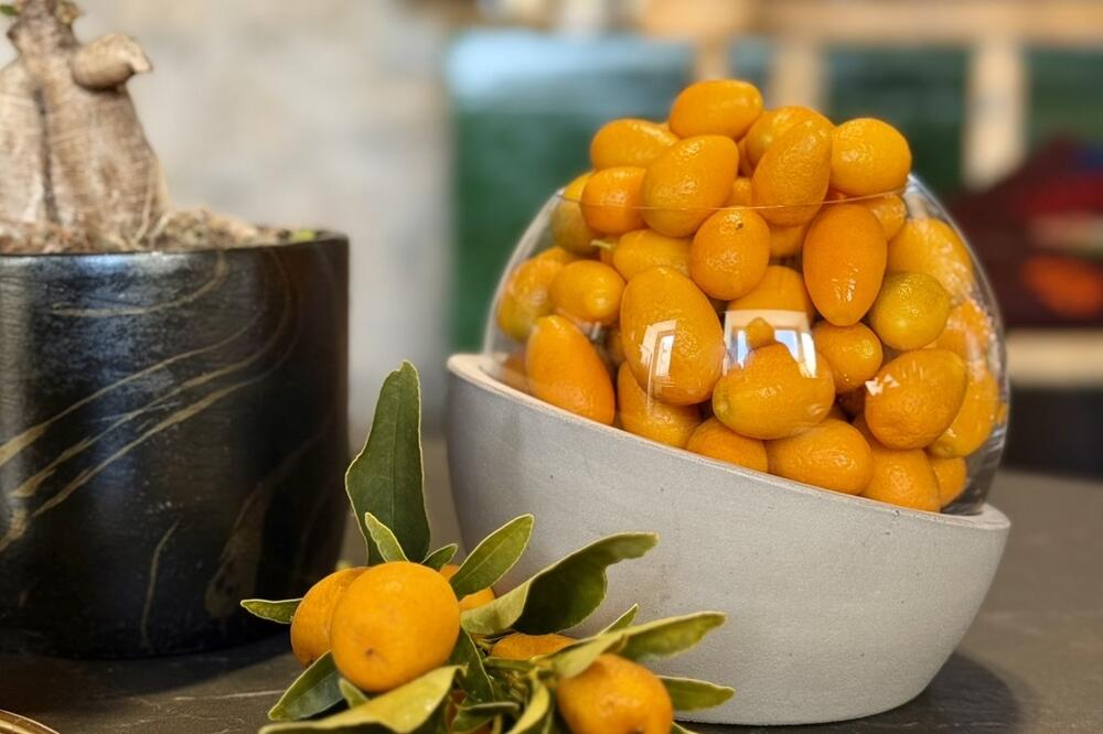 Fortunela (kumkvat): &bdquo;zlatna narandža&ldquo; koja se jede cijela, čuva zdravlje i daruje prijateljima