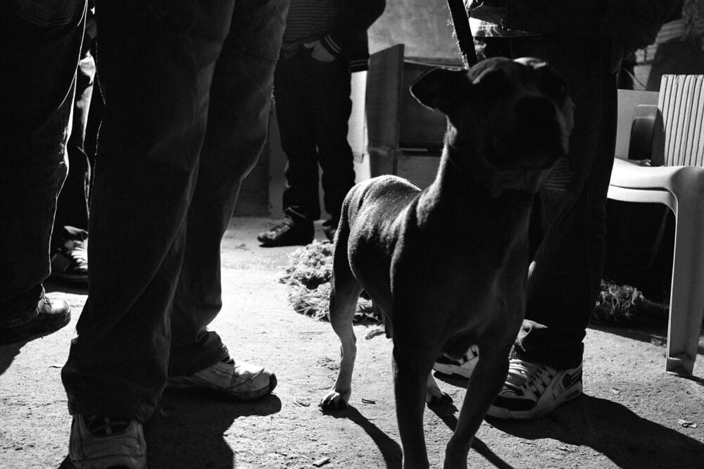 Fotografije Jake Babnika u Podgorici