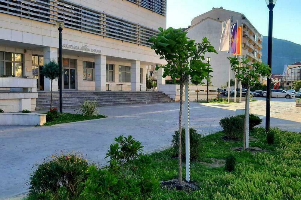 Franeta napustio Odbor direktora Akademije znanja Budva: "Neslaganje sa članovima iz redova DPS i SDP"