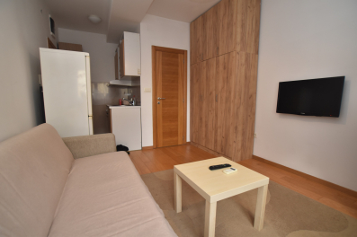 Garsonjera, 20m2, Blok 9, Izdavanje