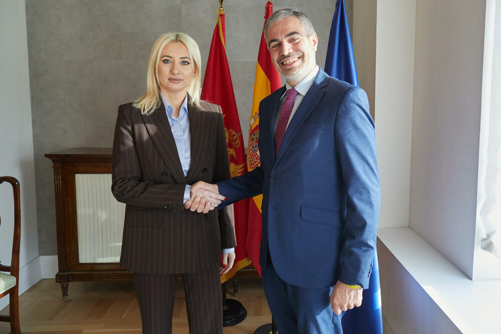 Gorčević: Nema sumnje u političku posvećenost Crne Gore članstvu u EU