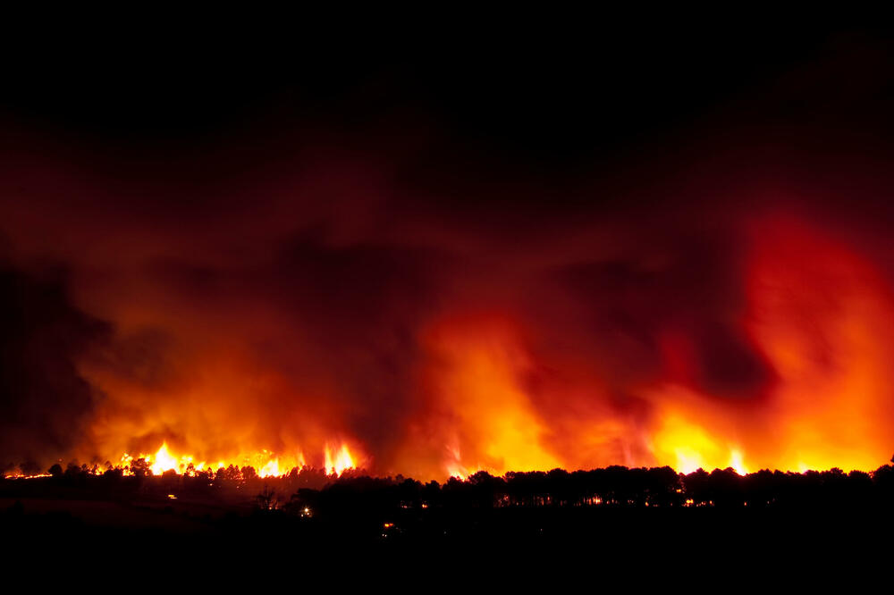 Gore četinarske šume na granici Bijelog Polja i Mojkovca, gašenje otežano zbog nepristupačnosti