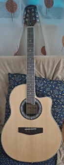 Harley Benton hbo 600 nt