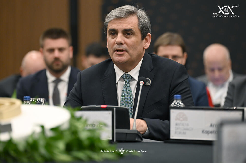 Ibrahimović: Crna Gora je posvećena stabilnosti regiona i ubrzanju evropskih integracija zemalja Zapadnog Balkana