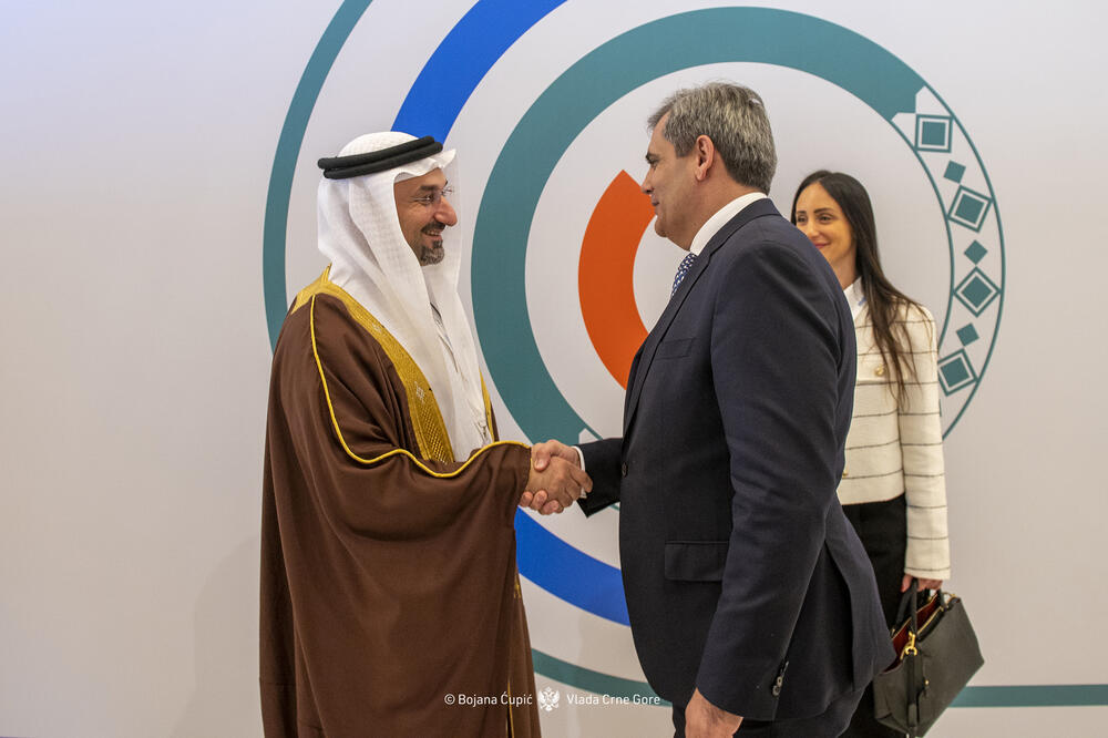 Ibrahimović: Partnerstvo Crne Gore sa UNIDO rezultiralo nizom konkretnih projekata