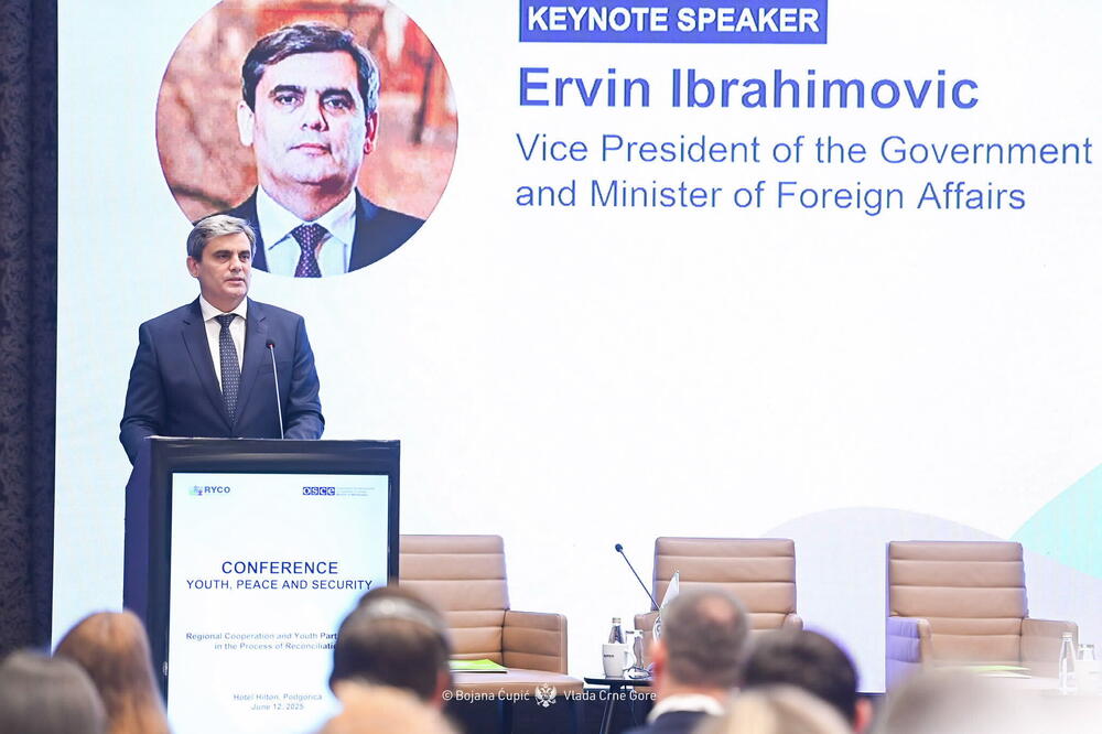 Ibrahimović: Uspješna integracija u EU nudi najbolju perspektivu mladima