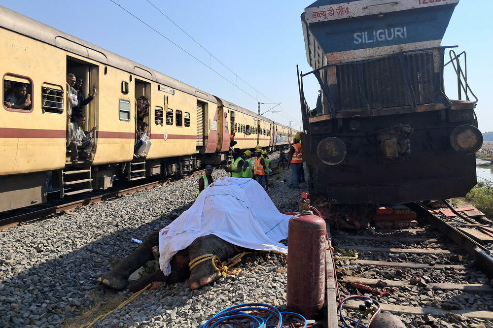 Indija: Voz udario u krdo slonova, sedam stradalo, jedan povrijeđen