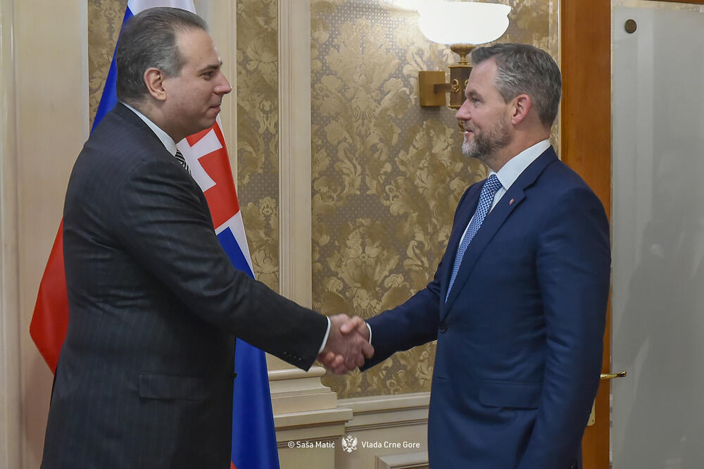 Ivanović: Ulazak Crne Gore u EU doprinio bi kredibilitetu politike proširenja