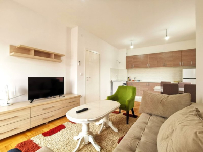 Izdaje se&nbsp;jednosoban namješten stan,&nbsp;površine&nbsp;42m2,&nbsp;u&nbsp;Zagoriču&nbsp;u Podgorici.