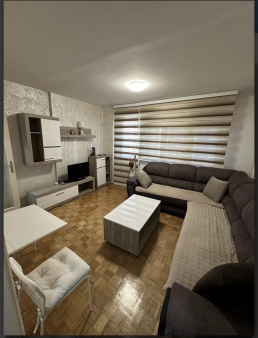 Izdajem namještenu garsonjeru kod Gintaša,300