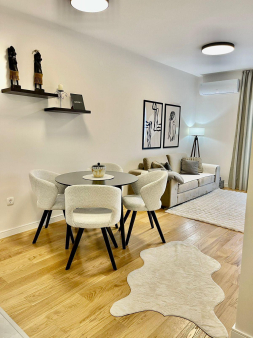 Jednosoban lijepo namješten stan, 40m2, Central Point, Podgorica