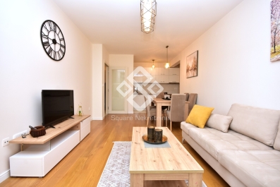 Jednosoban 53m2, Central Point, Podgorica, Izdavanje
