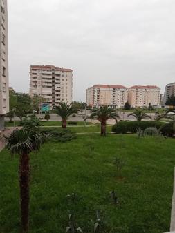 Jednosoban stan, Bar, Izdavanje