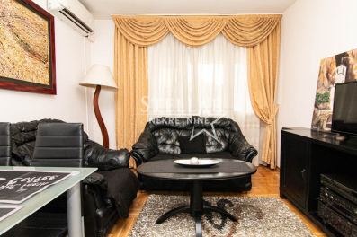 Jednosoban stan 50m2, Gintaš  Izdavanje