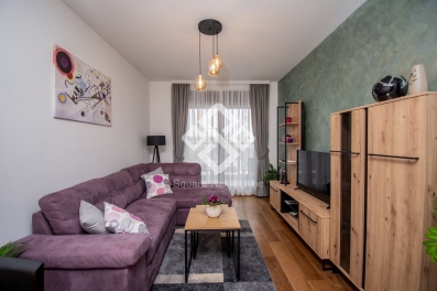 Jednosoban stan 50m2, Green Level, Podgorica, Izdavanje