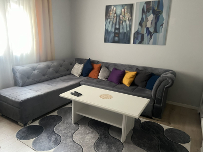 Jednosoban stan 50m2, Rozino, Budva, Izdavanje