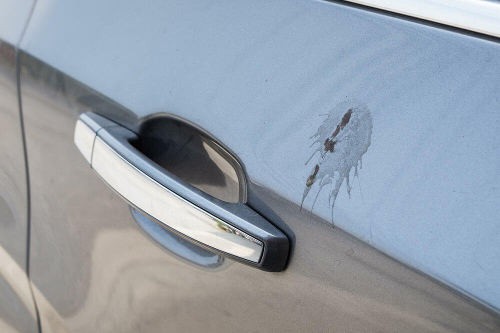 Kako ukloniti ptičiji izmet sa automobila bez oštećenja laka?