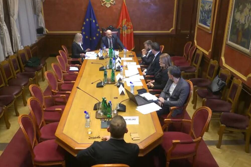 Kandidati za CIK negirali partijske veze, podaci ih demantuju