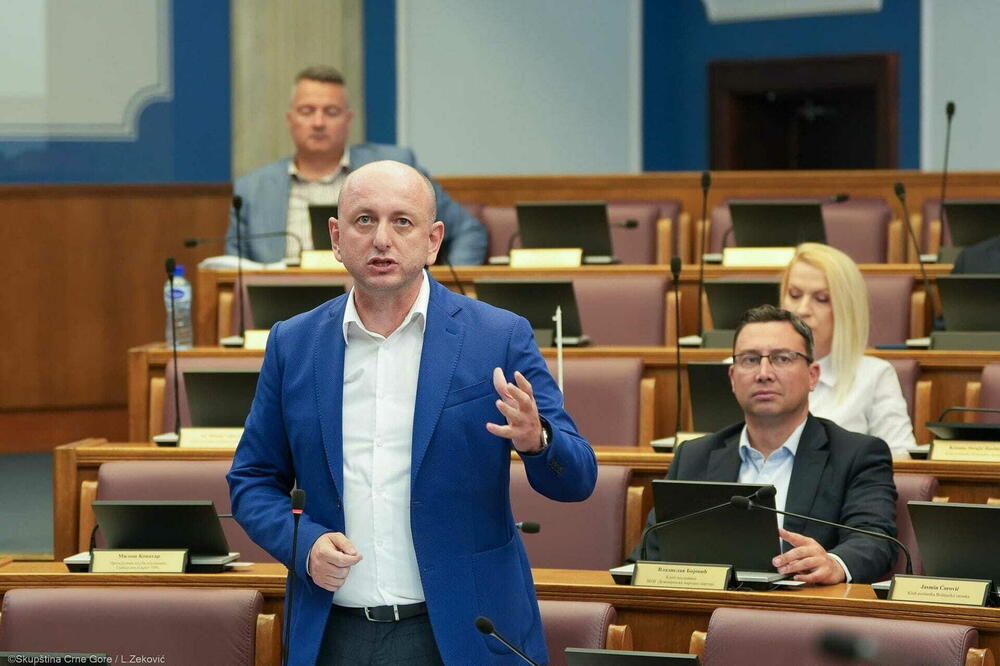 Knežević prijavio stan i zemljište, Bojović udio u Srpskoj kući: Imovinski kartoni poslanika DNP-a