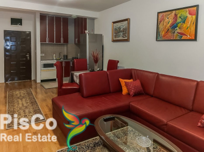 Lijep jednosoban stan na Tuškom putu