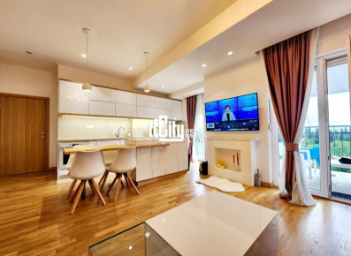 Lux dvosoban stan, Centar