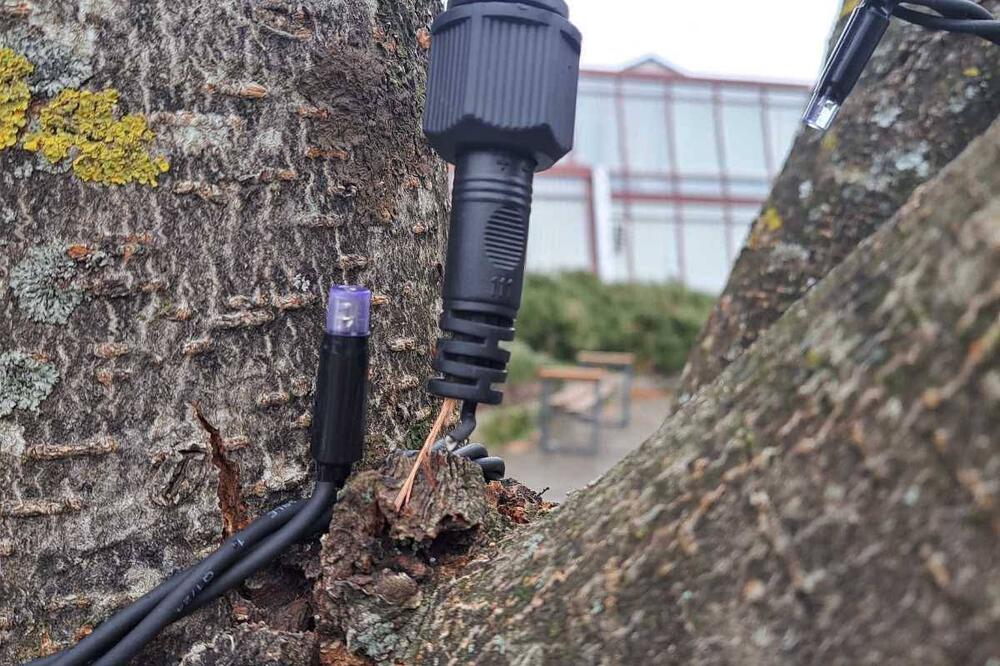 Maloljetnici osumnjičeni da su oštetili dekoraciju u Kolašinu, žena osumnjičena da je u Plavu ukrala novčanik ljekaru