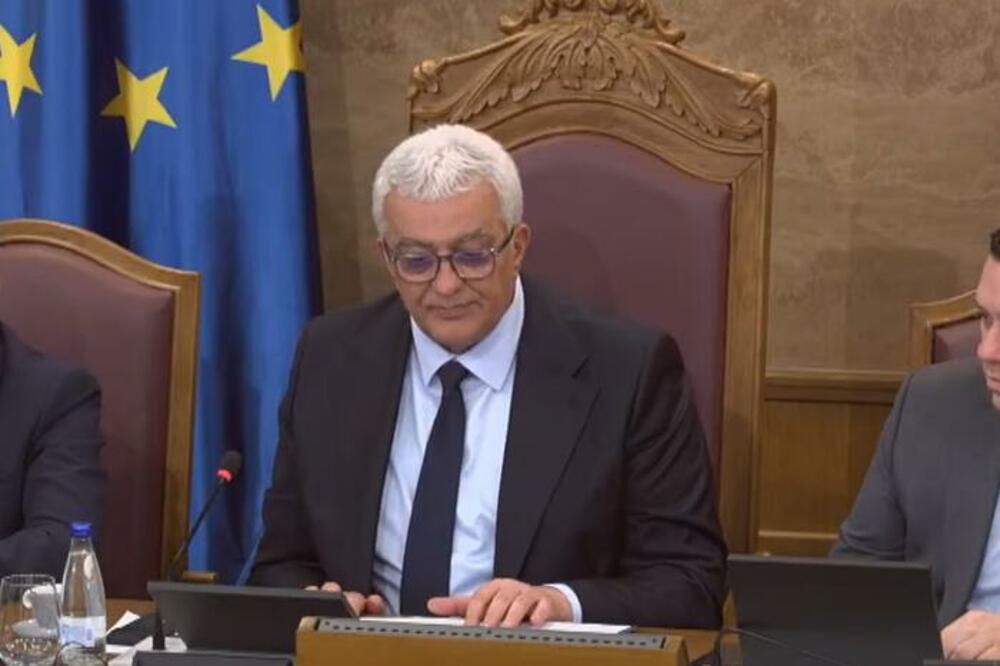 Mandić: Bratić tretirana kao kriminalac, želim da je ohrabrim da izdrži sve nevolje kroz koje će proći